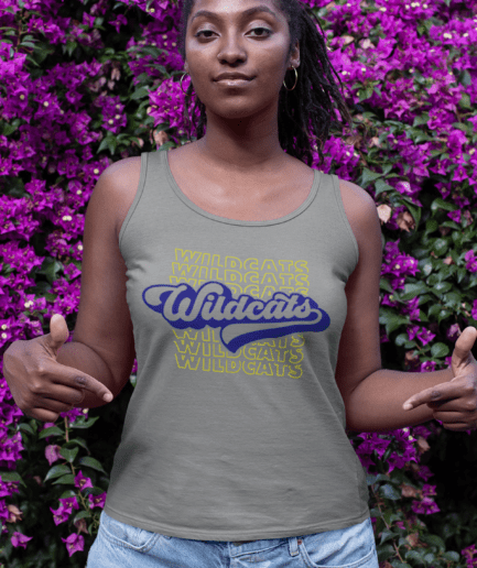 Wildcats Retro Echo